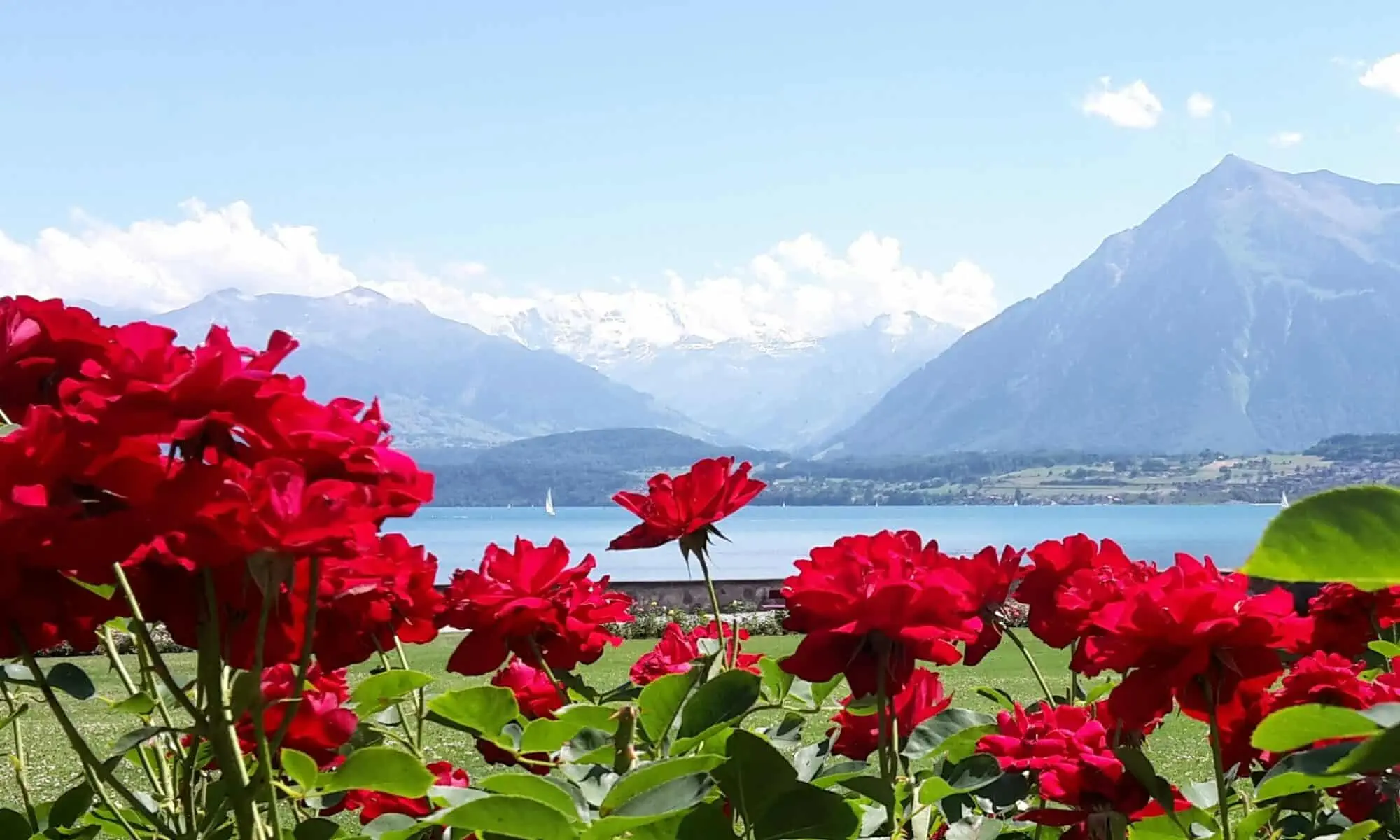 Pfefferspraykurse in Thun
